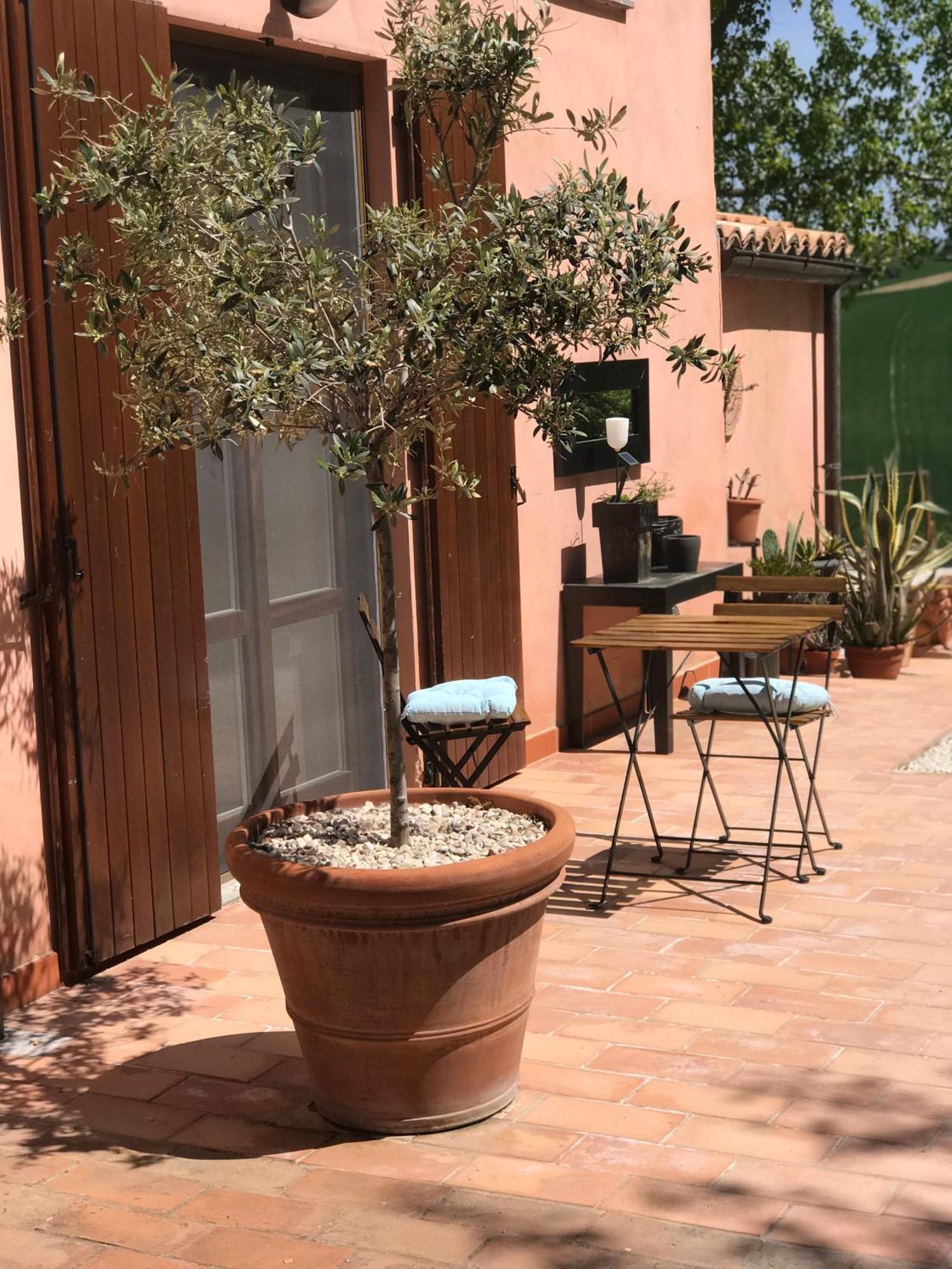 Il Posto Perfetto Bed and Breakfast Santa Maria Nuova  Eksteriør billede