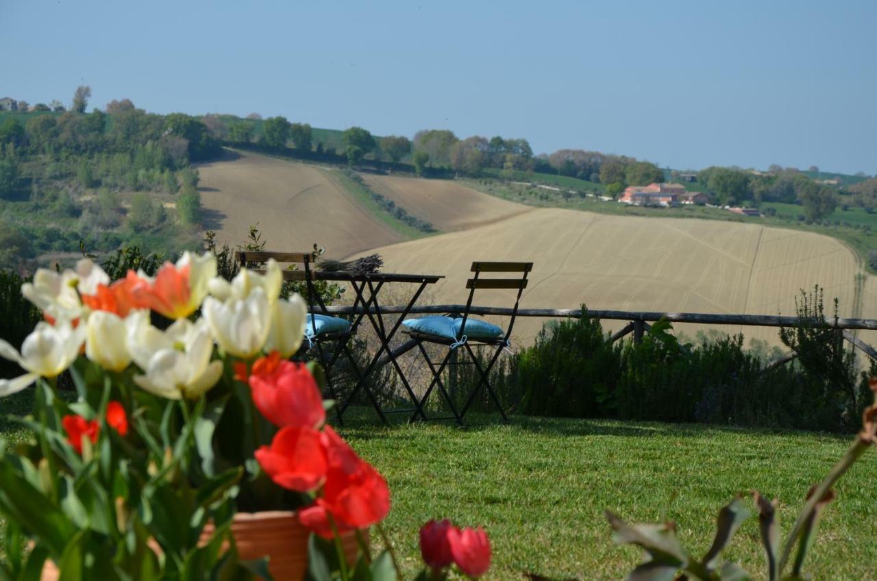 Il Posto Perfetto Bed and Breakfast Santa Maria Nuova  Eksteriør billede