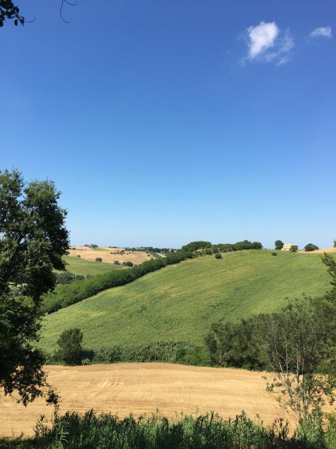 Il Posto Perfetto Bed and Breakfast Santa Maria Nuova  Eksteriør billede