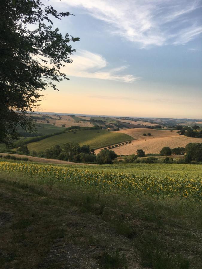 Il Posto Perfetto Bed and Breakfast Santa Maria Nuova  Eksteriør billede